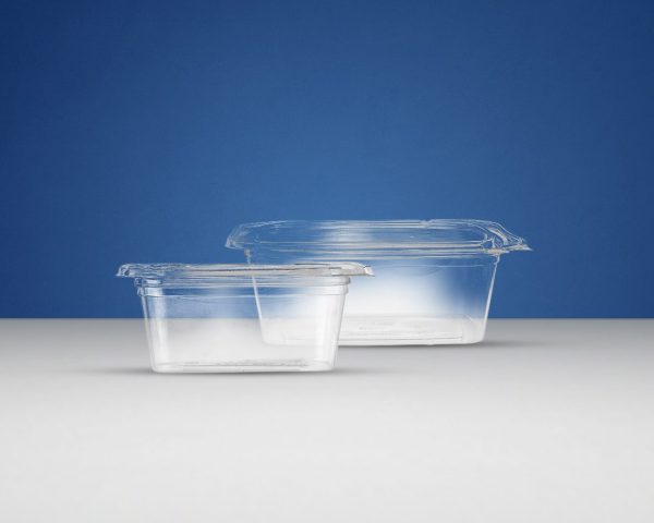 Hinged Deli Containers
